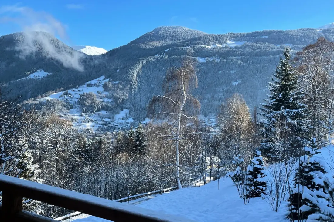Chalet Sérénité Du Mont-blanc -