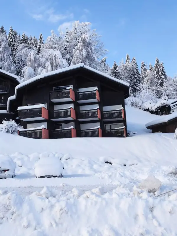 Nidamis Au Pied Des Pistes Vue Massif Mont-blanc