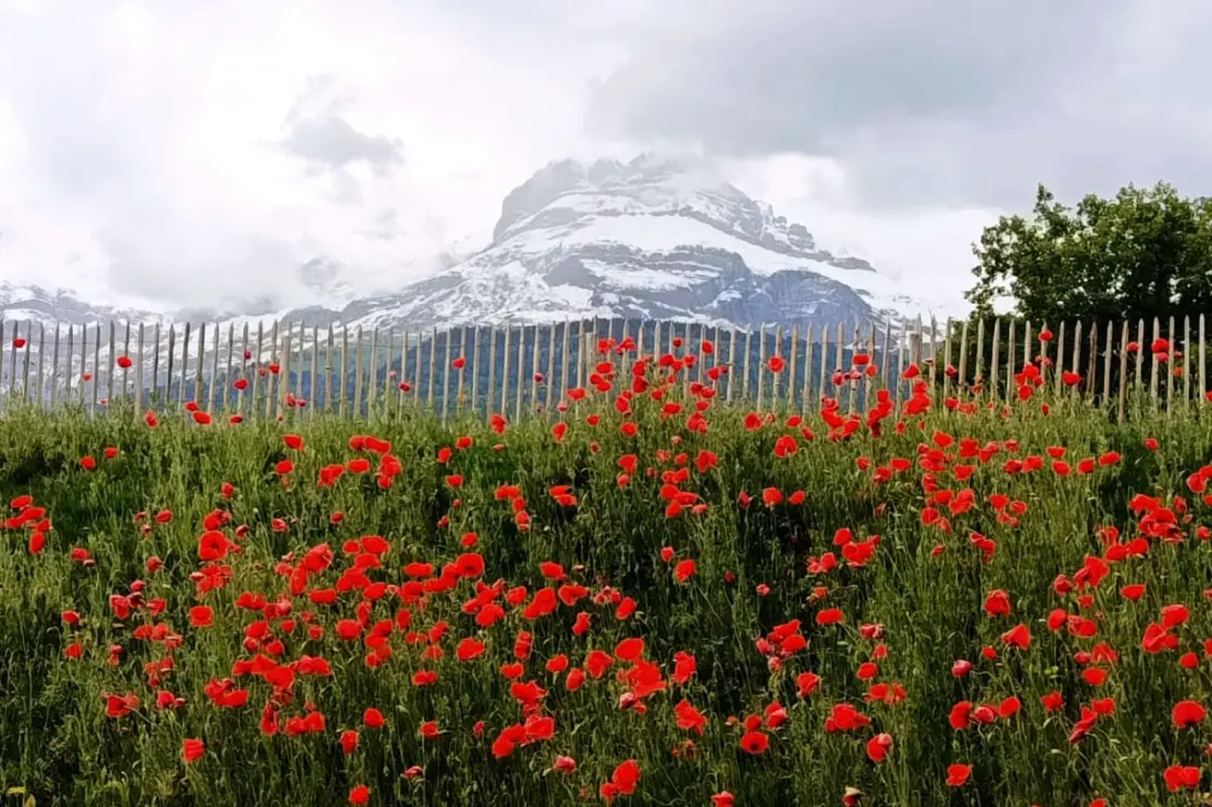 Vue Aravis Et Terrasse, Proximité Thermes
