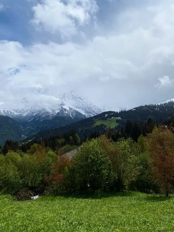 Vue Aravis Et Terrasse, Proximité Thermes