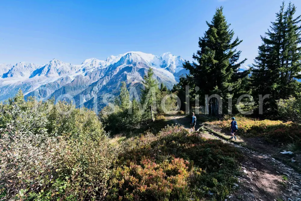 Résidence Les Fermes De Saint Gervais