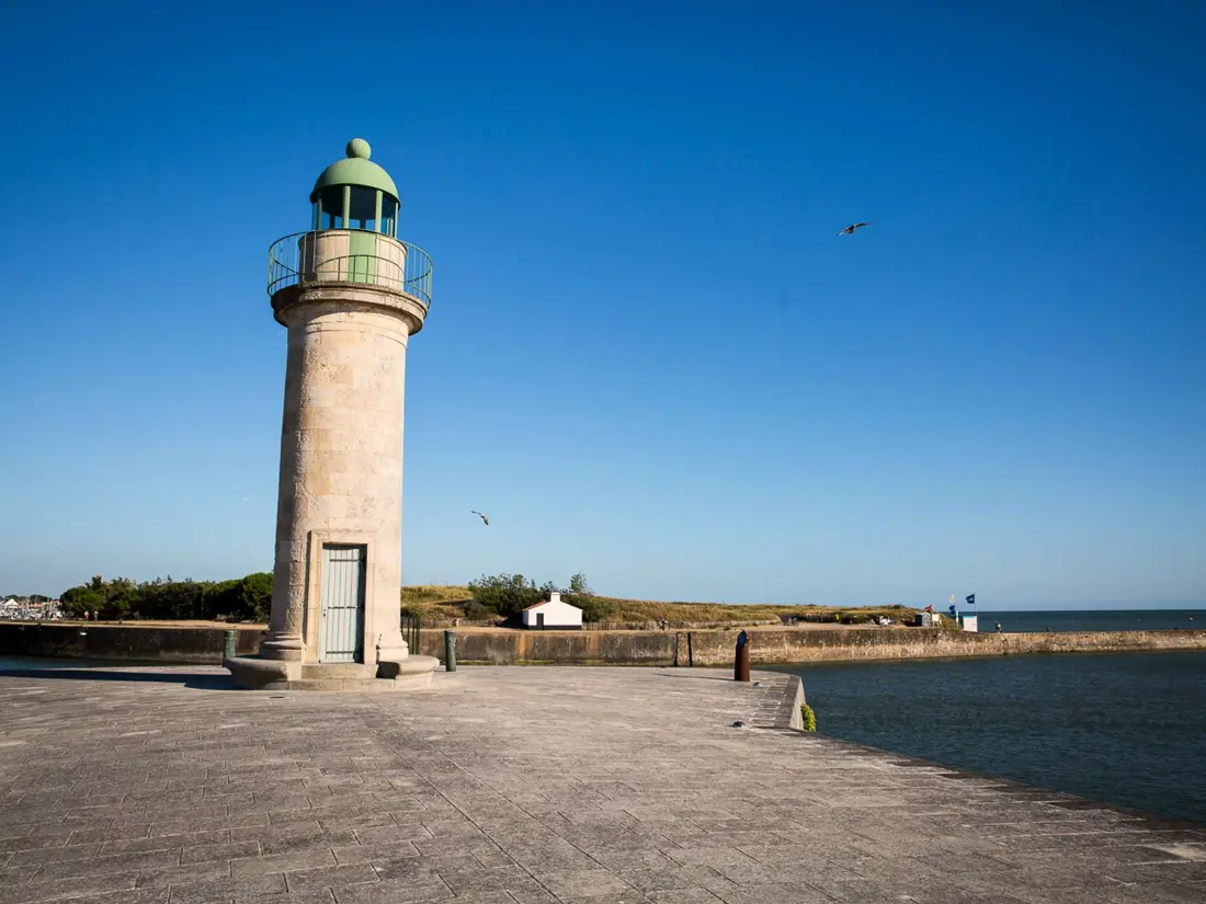 Location de Vacances Saint-Gilles-Croix-de-Vie 445
