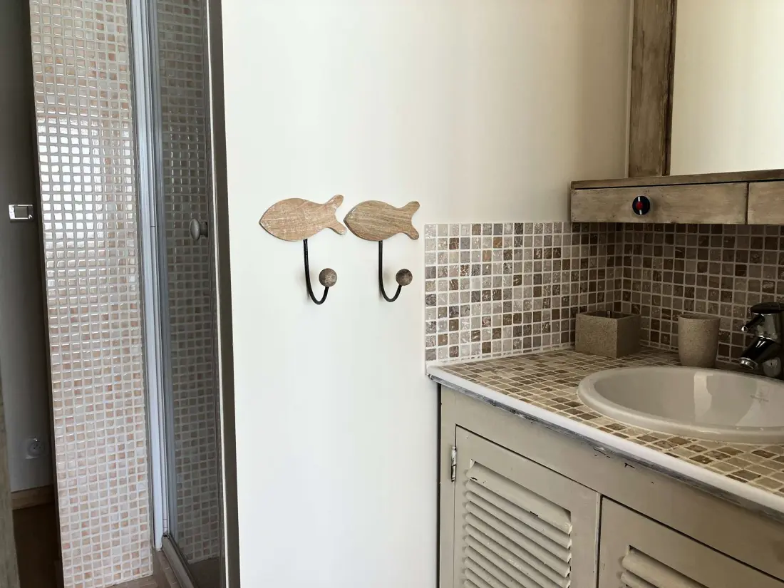 Location de Vacances Saint-Gilles-Croix-de-Vie 447
