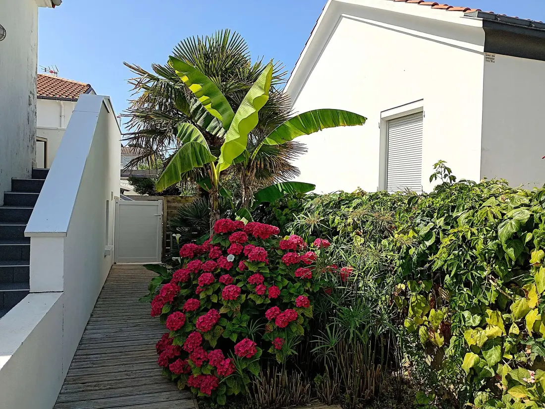 Location de Vacances Saint-Gilles-Croix-de-Vie 449