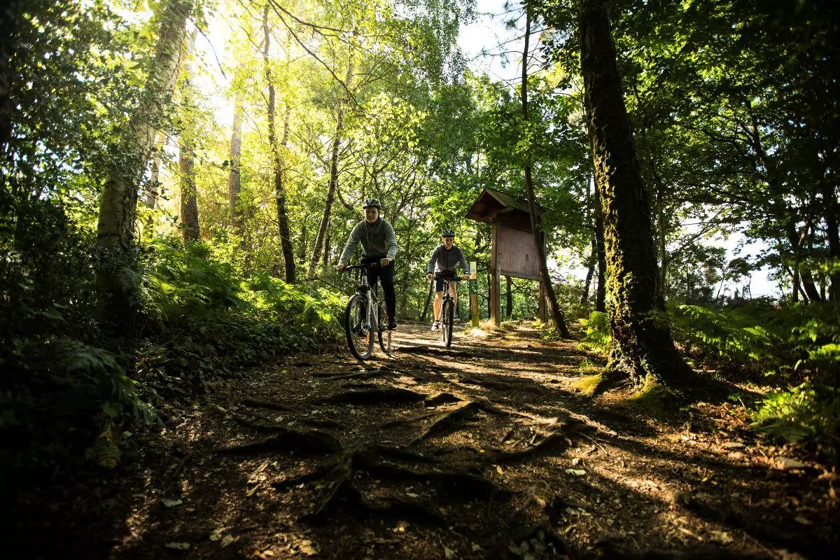 Gîte de France Le paradis perdu 3 épis - - Saint Gilles Vieux Marché - 45