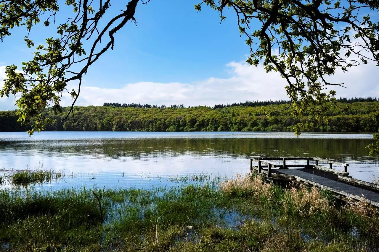 Gîte de France Le paradis perdu 3 épis - - Saint Gilles Vieux Marché - 49