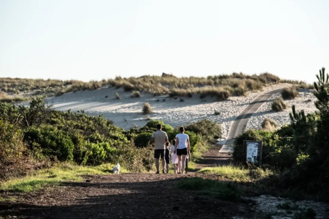 Camping Club Les Tourterelles 4 étoiles★★★★ - MS Vacances