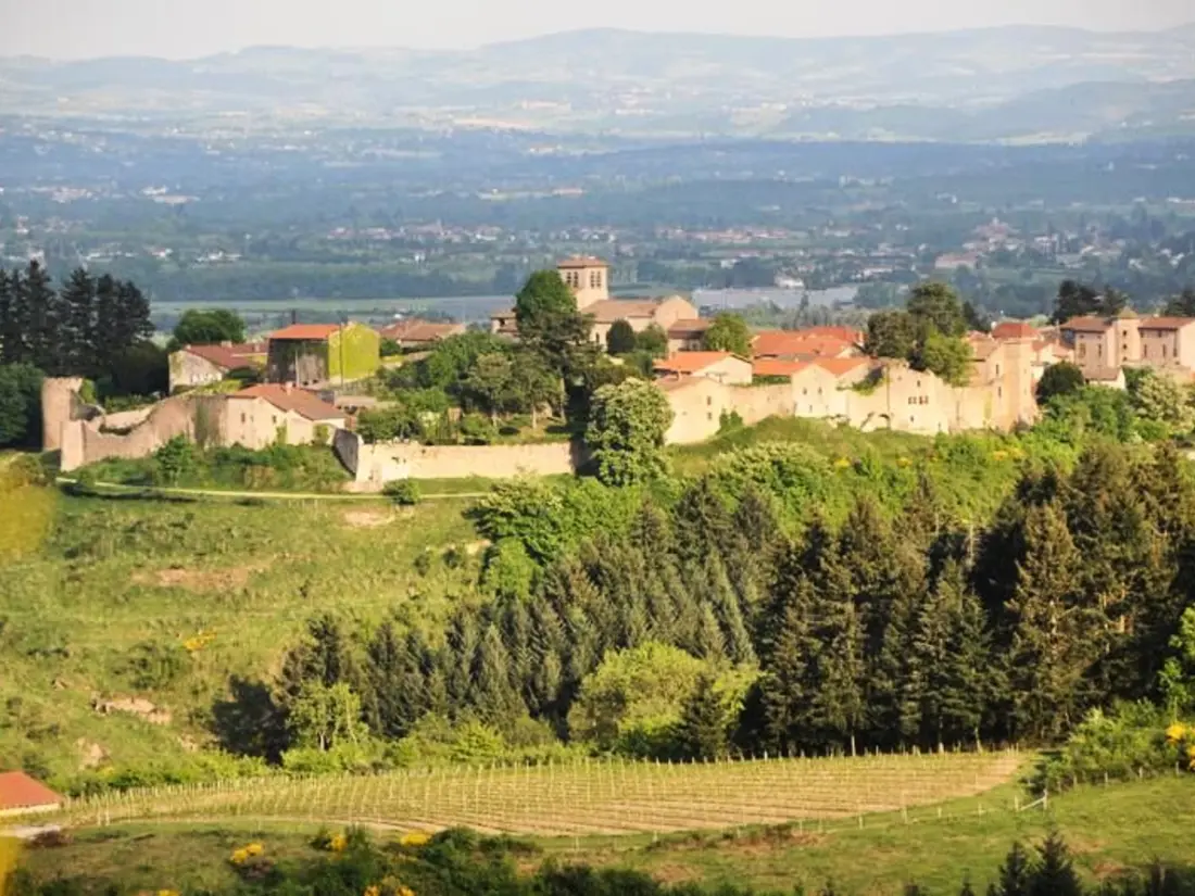 Maison de Vacances SAINT-HAON-LE-VIEUX 2