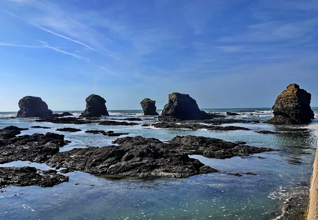Appartements à Saint-Hilaire-de-Riez