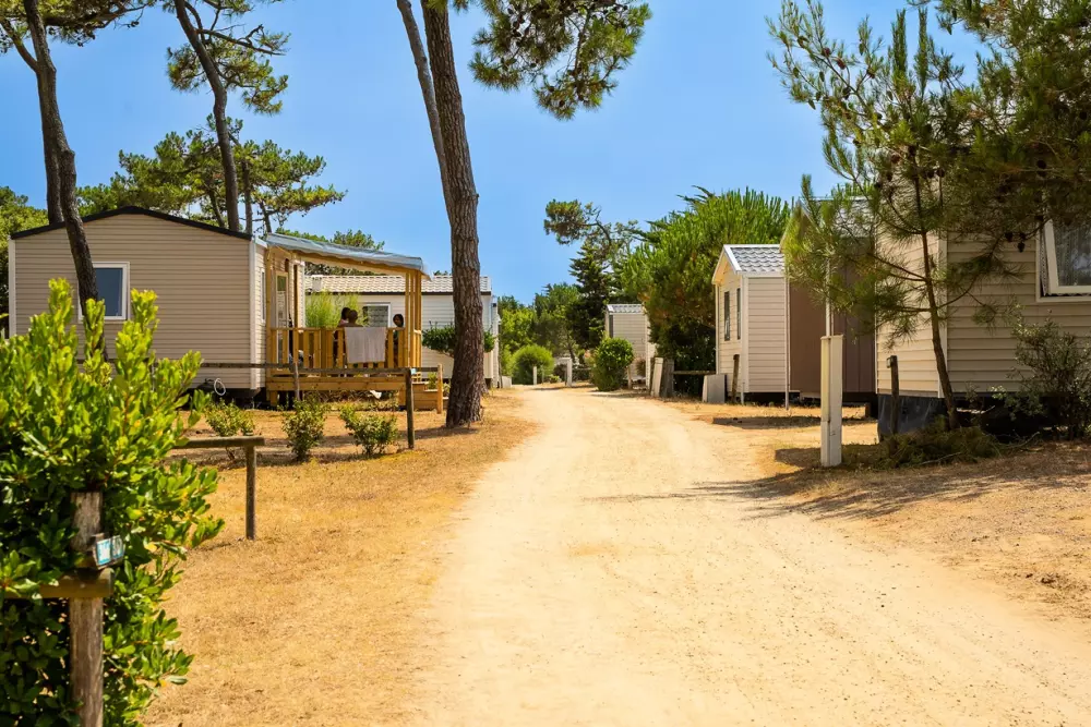 Camping de la Plage de Riez 31 étoiles★