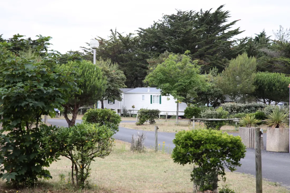 Camping de Sion3 étoiles★★★