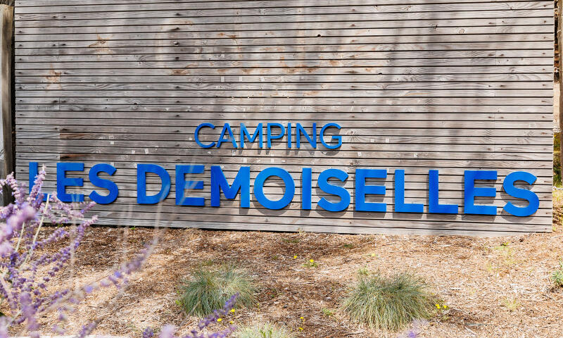 Camping Demoiselles Plage *** - Saint-Hilaire-de-Riez - 8