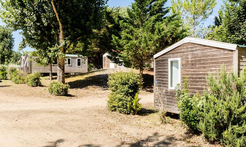 Camping Demoiselles Plage *** - Saint-Hilaire-de-Riez - 42