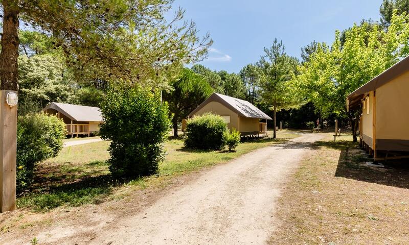 Camping Demoiselles Plage *** - Saint-Hilaire-de-Riez - 38