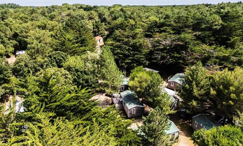 Camping Demoiselles Plage *** - Saint-Hilaire-de-Riez - 44