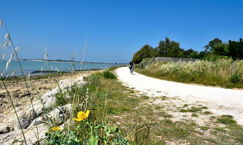 Camping la Marzelle*** - Saint-Hilaire-de-Riez - 5