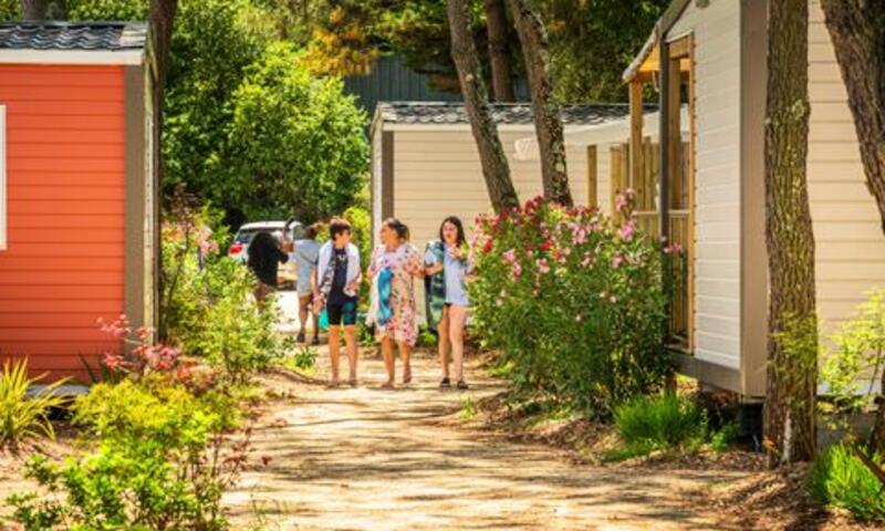 Camping Riez A La Vie **** - Saint-Hilaire-de-Riez - 23