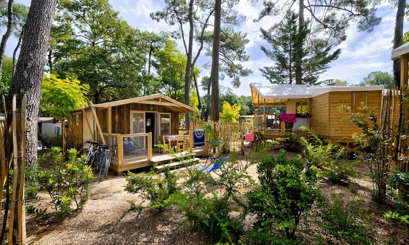 Flower Camping Au Bois Des Biches Saint Hilaire de Riez Saint flower-camping-au-bois-des-biches-saint-hilaire-de-riez-saint