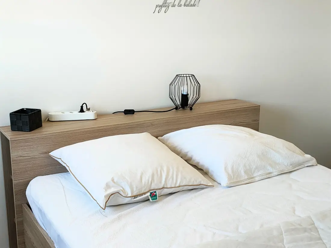 Location de Vacances Saint-Hilaire-de-Riez 551
