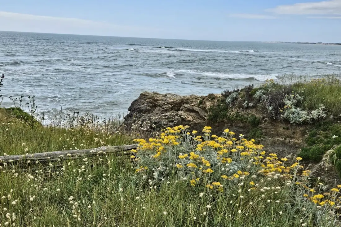 Résidence L’envol De Sion – Cocon Cosy à 5 Min De La Plage