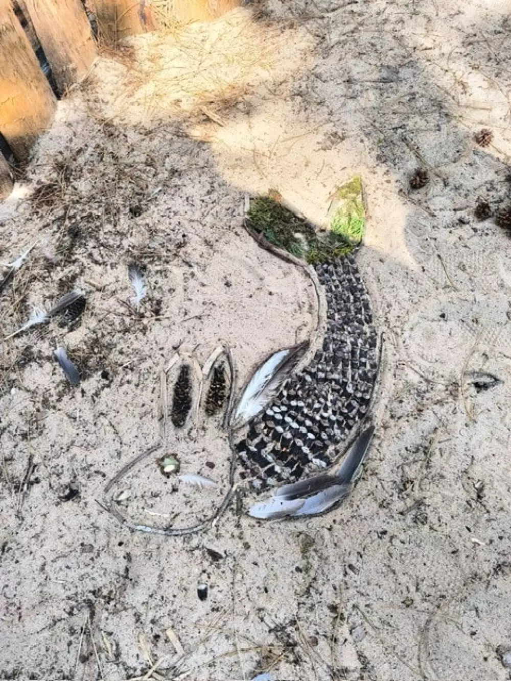 Ushuaïa Villages - Camping la Conge 3 étoiles★★★