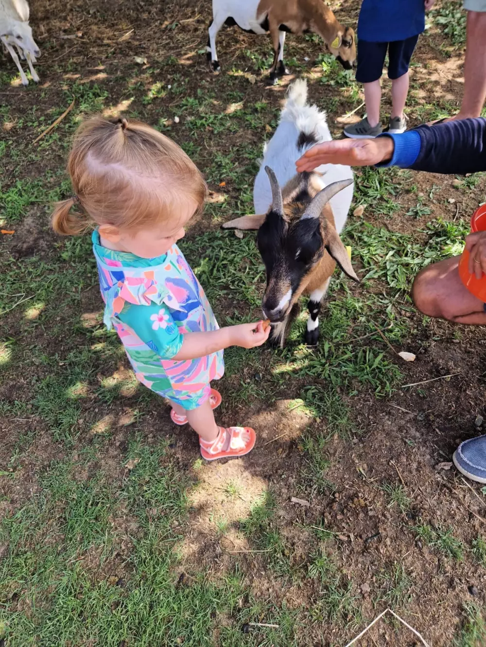 Ushuaïa Villages - Camping la Conge 3 étoiles★★★