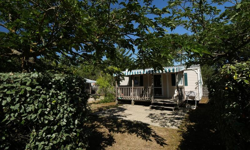Village vacances ULVF - La Grande Dune *** - Saint-Hilaire-de-Riez - 7