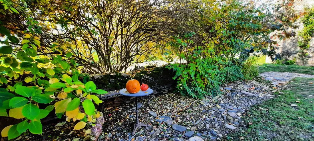 Gîte de France Gîte des papous 4 épis