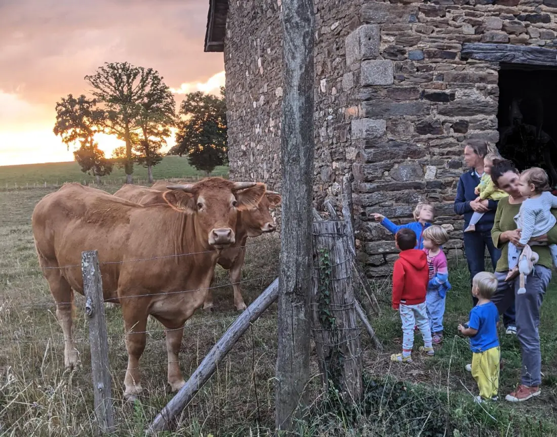 Gîte de France Gîte des papous 4 épis
