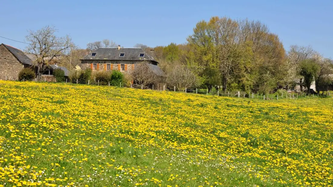 Gîte de France Gîte des papous 4 épis