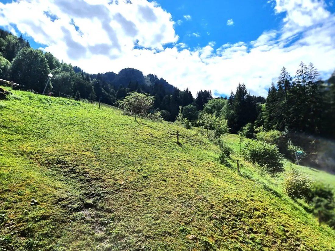 Location de Vacances Saint-Jean-d'Aulps 88
