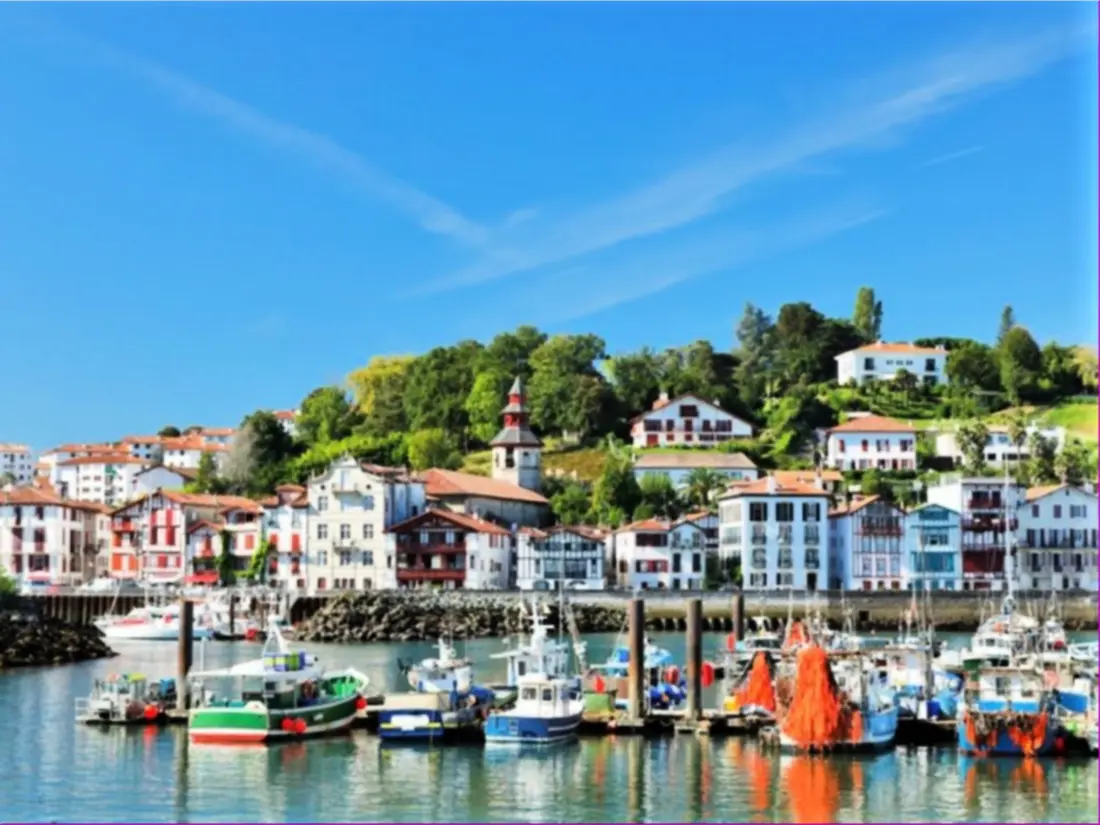 Location de Vacances Ciboure 335
