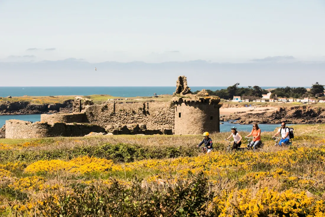 Camping L'Abri des Pins 4 étoiles★★★★