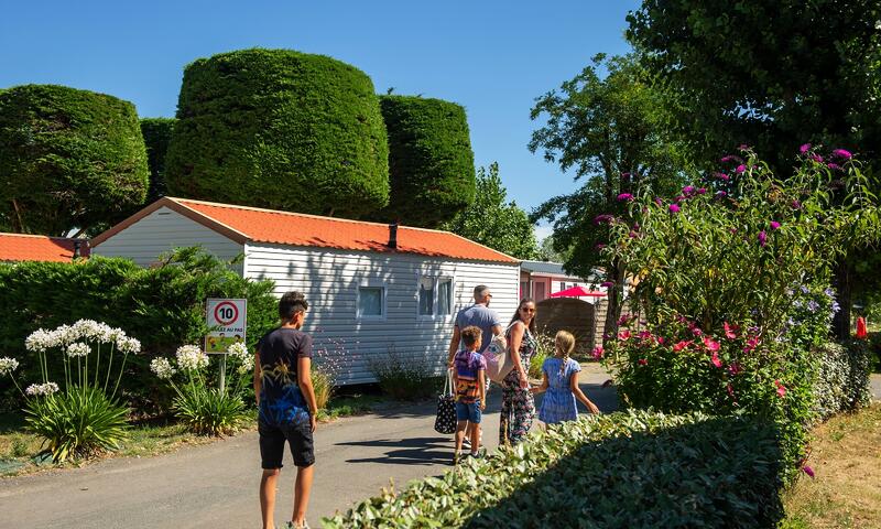 Camping La Yole - Saint-Jean-de-Monts - 14