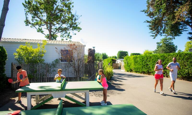 Camping La Yole - Saint-Jean-de-Monts - 7