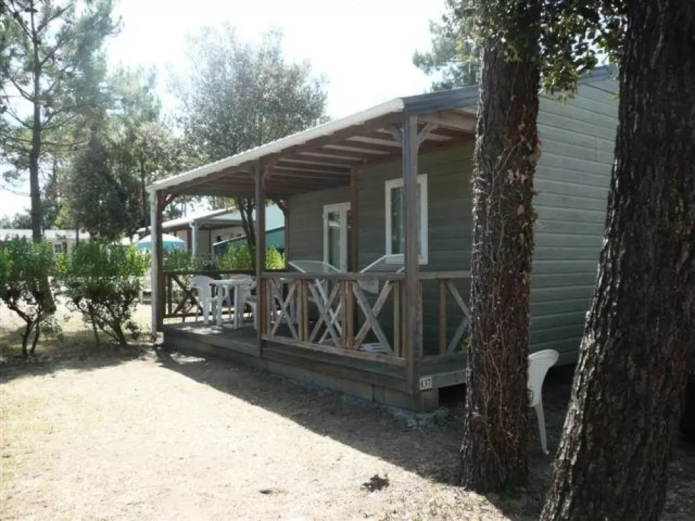 Camping Le California 4 étoiles★★★★