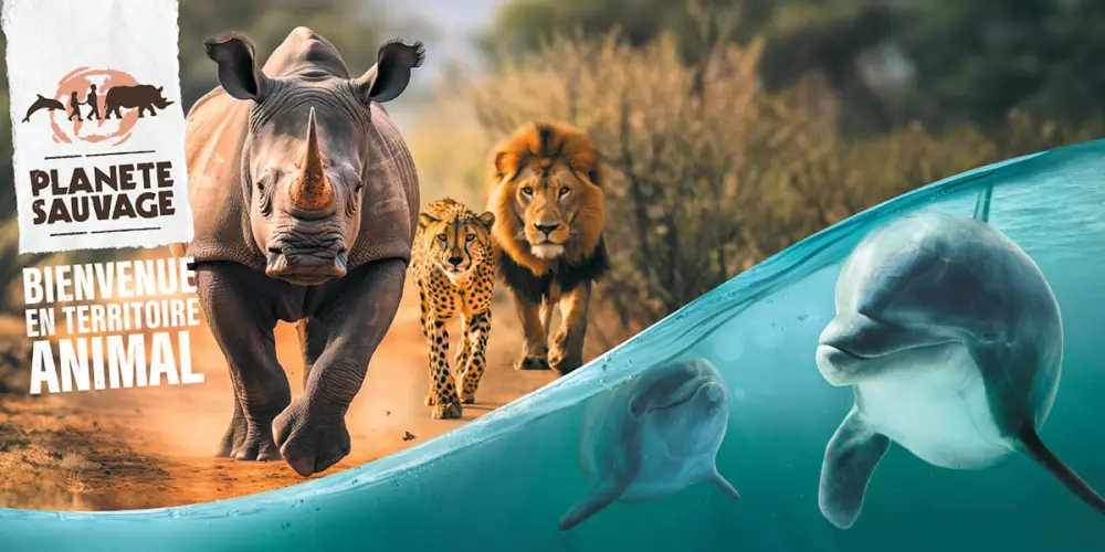 Camping Le California 4 étoiles★★★★