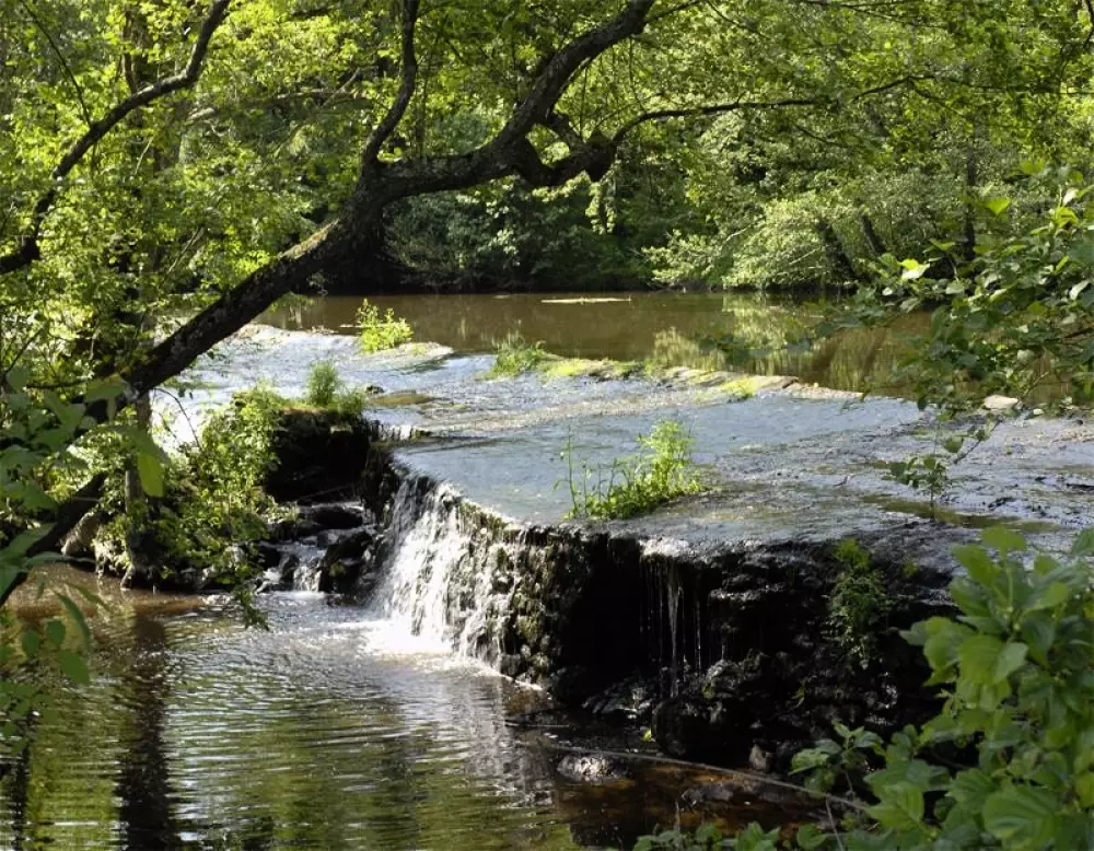 Camping Le California 4 étoiles★★★★