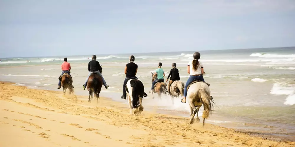 Camping Le California 4 étoiles★★★★