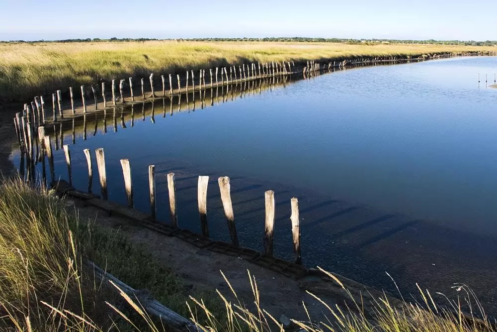 Camping Le California 4 étoiles★★★★