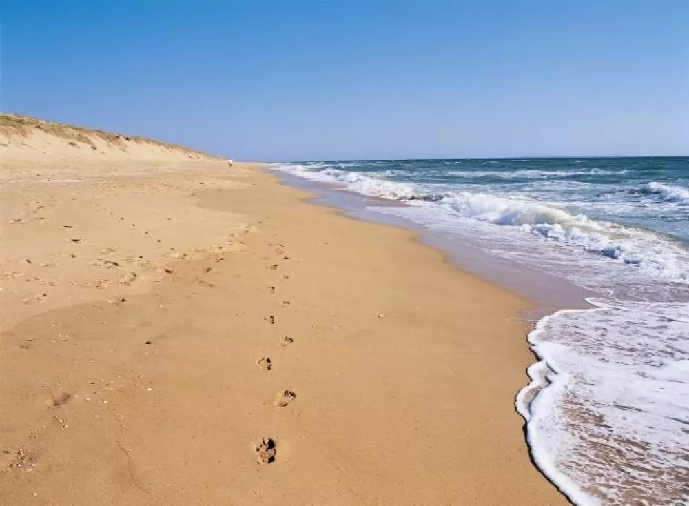 Camping Le California 4 étoiles★★★★