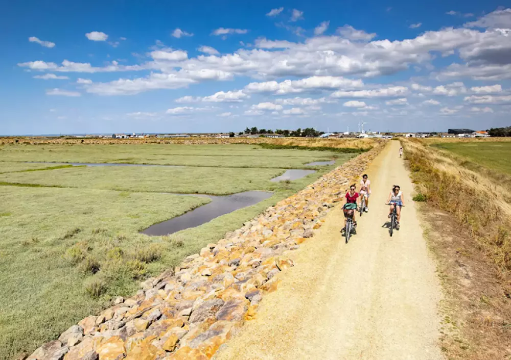 Camping Le California 4 étoiles★★★★