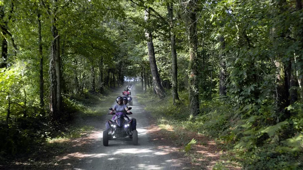 Camping Le California 4 étoiles★★★★