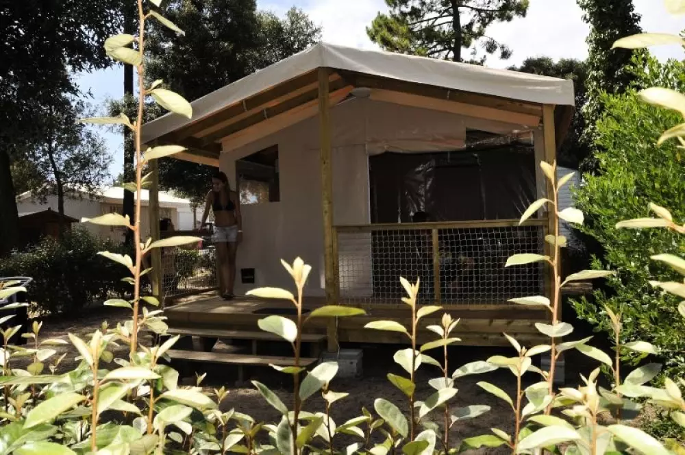 Camping Le California 4 étoiles★★★★