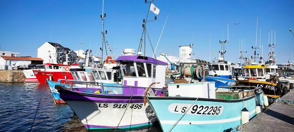 Camping Le California 4 étoiles★★★★