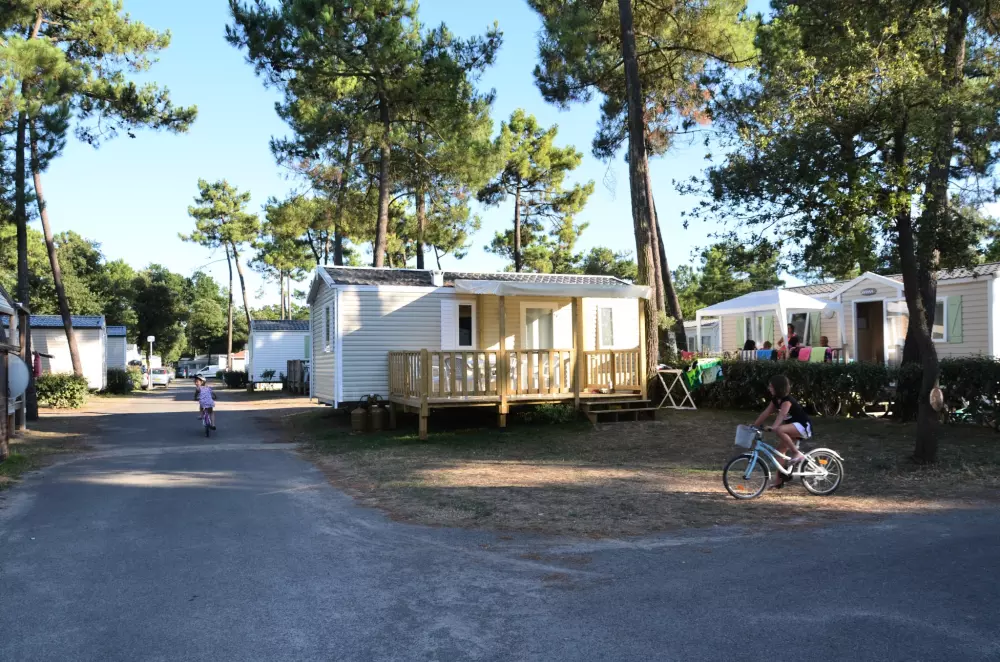 Camping Le California 4 étoiles★★★★