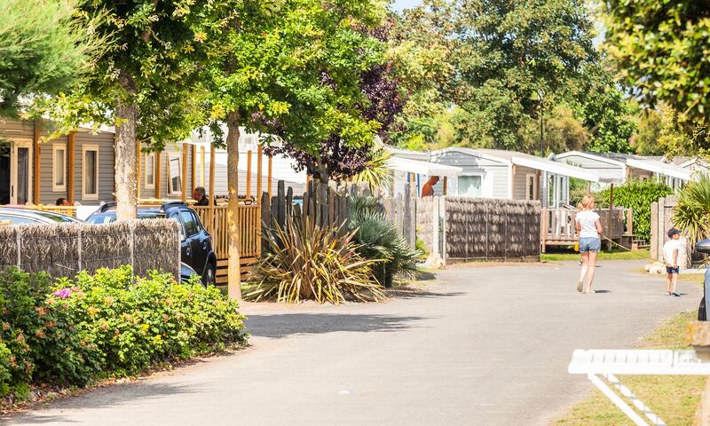Camping Le Domaine du Clarys - Saint-Jean-de-Monts - 11