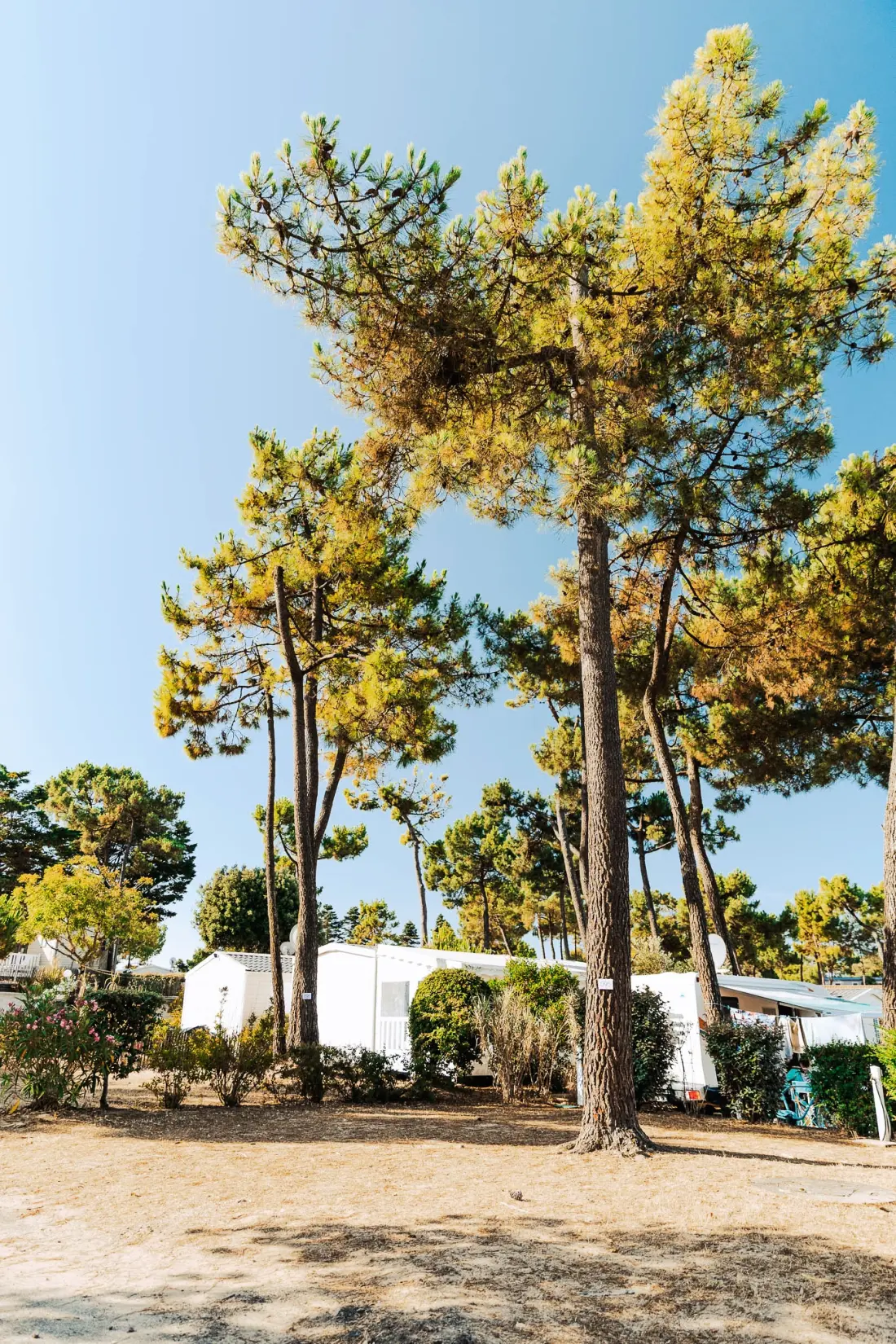 Camping Sunêlia Le Tropicana 5 étoiles★★★★★