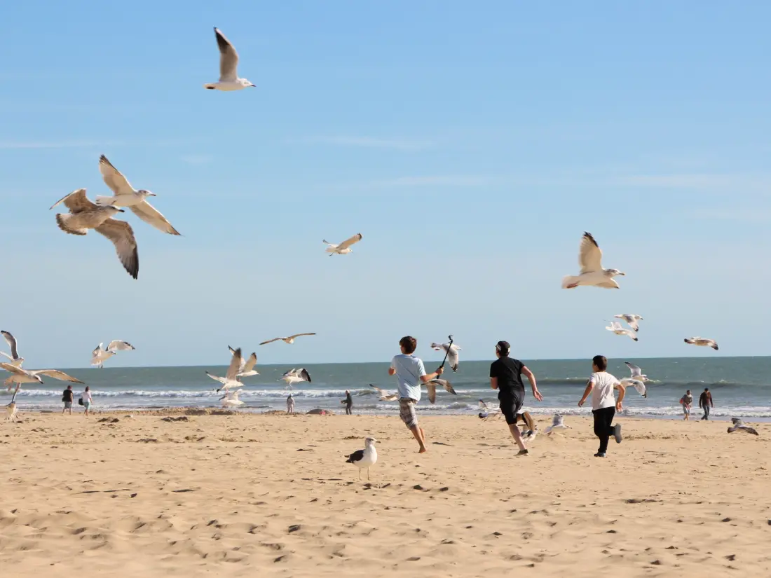 Location de Vacances Saint-Jean-de-Monts 270