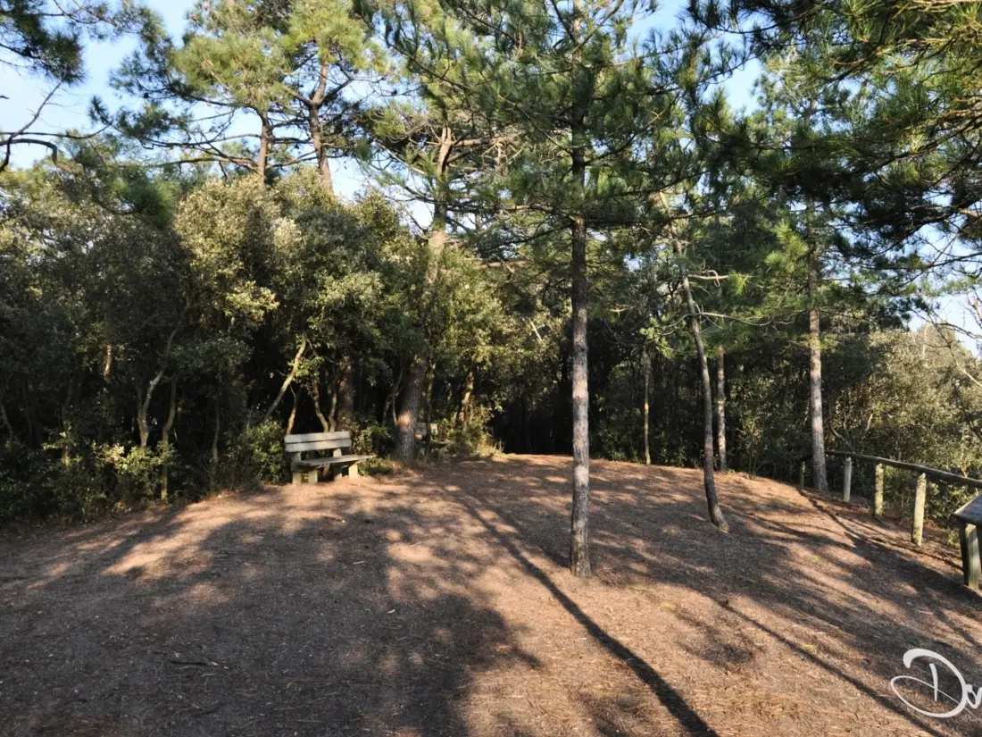 Location de Vacances Saint-Jean-de-Monts 457